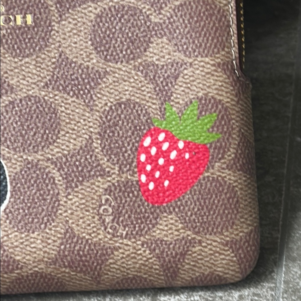 Coach Brown Wristlet with Dinosaur and Strawberry Patches - Picture 8 of 13